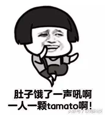 appleid账号忘了怎么办记得密码,appleidpassword