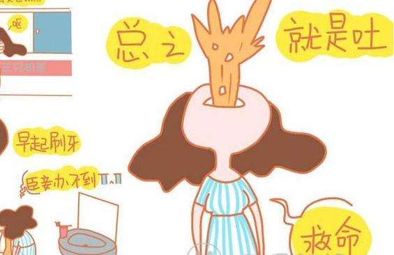 孕吐剧烈跟生男孩女孩有关吗,孕吐明显都是生女孩子吗