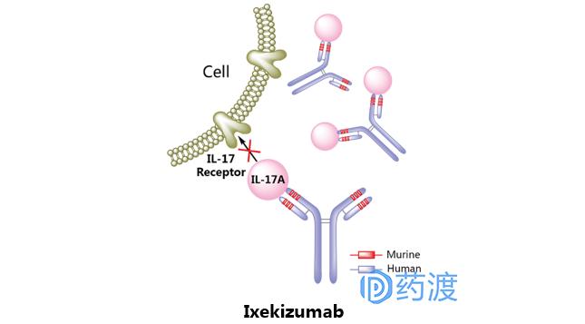 治疗银屑病生物制剂的优势,生物制剂治银屑病中的应用论文