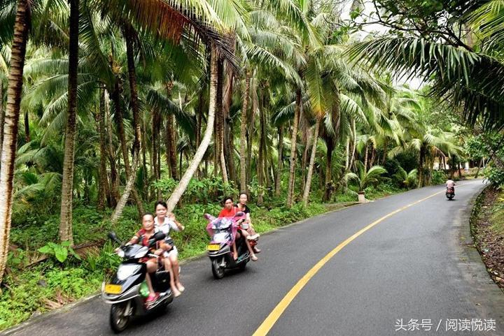 海南东郊椰林旅游攻略,海南静谧的椰林