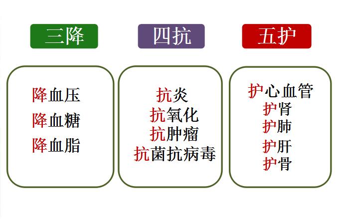 现代药理学表明杜仲具有三降「血压、血糖、血脂」、四抗、五护！
