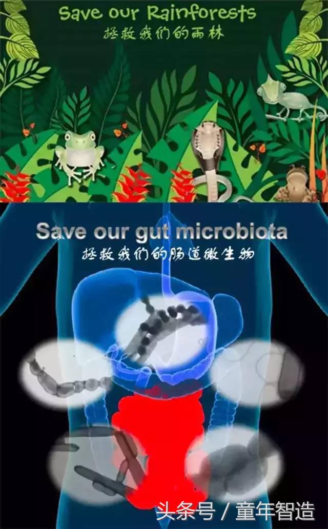 科学养娃真的科学么,科学有用常识小知识