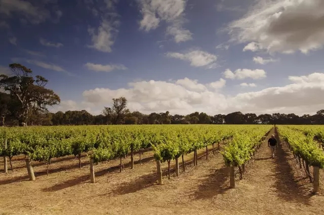 下周广东最高温度 (广东下周最低气温10左右)