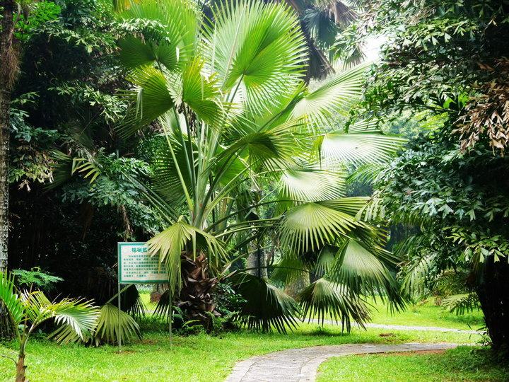 海南儋州市----千年古郡