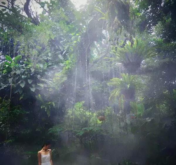 去厦门旅游怎么玩最好,去厦门该怎么玩