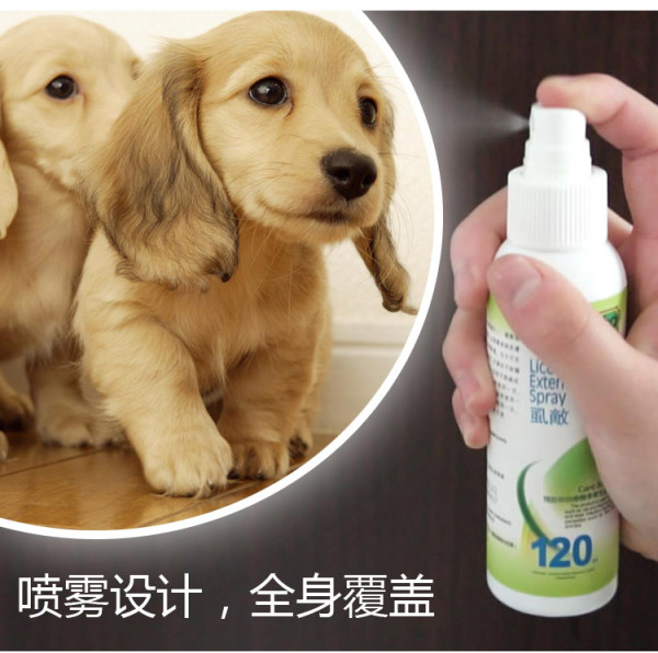 生活妙招：怎样去除狗狗身上的虱子？