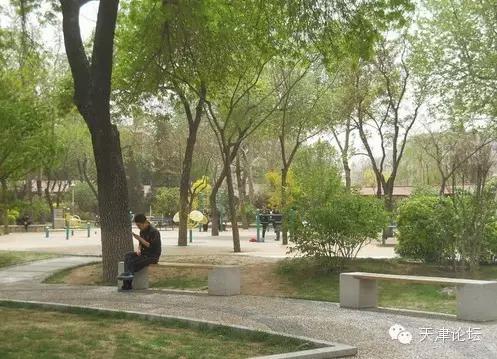 天津最值得去的公园排名榜前十,天津津南区值得游玩的公园