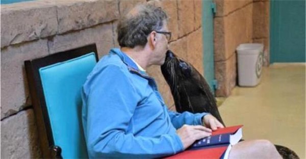 比尔盖茨在Twitter上分享2017年让他感动的几件事