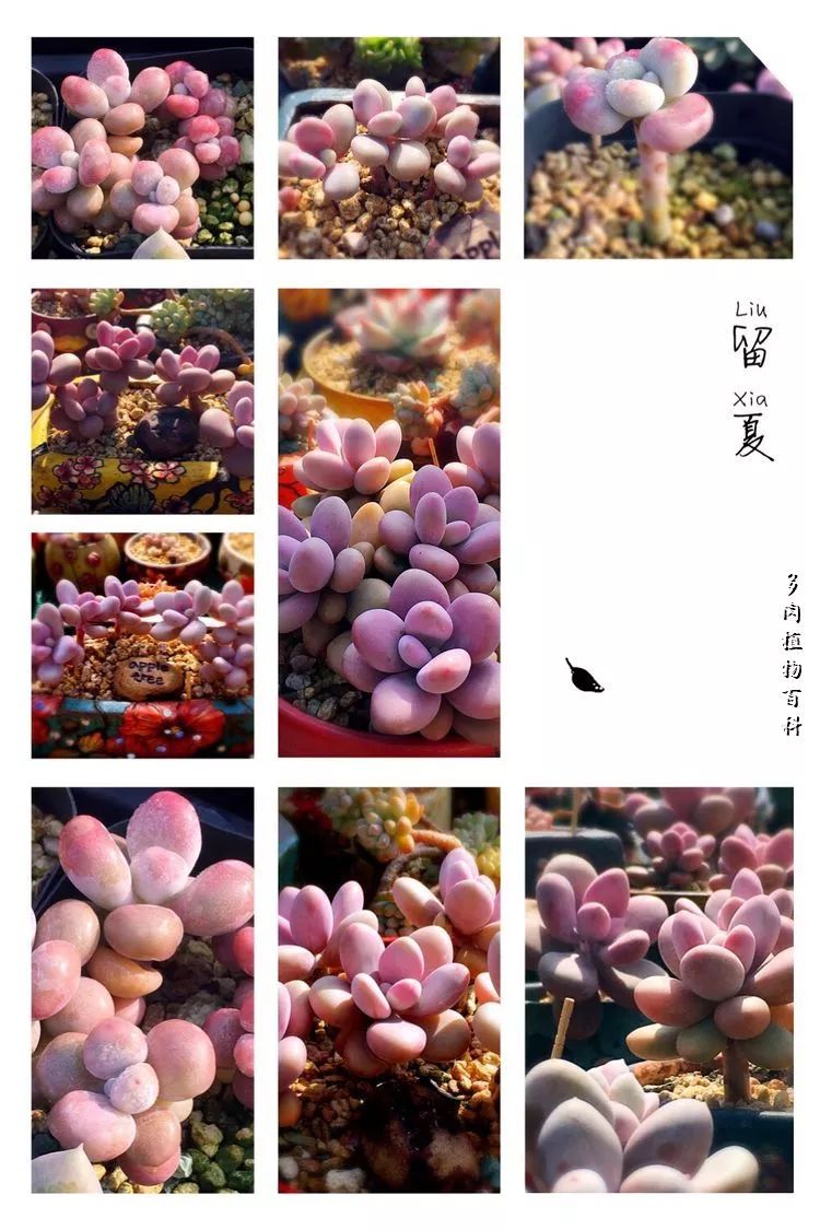 视觉盛宴美不胜收美图,视觉盛宴每个画面都美极了