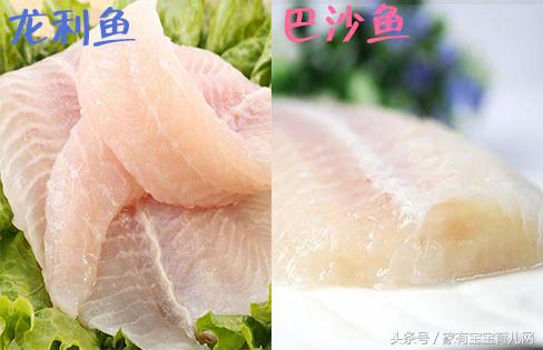 哪些鱼吃了补脑效果好,什么鱼孩子吃补脑效果好