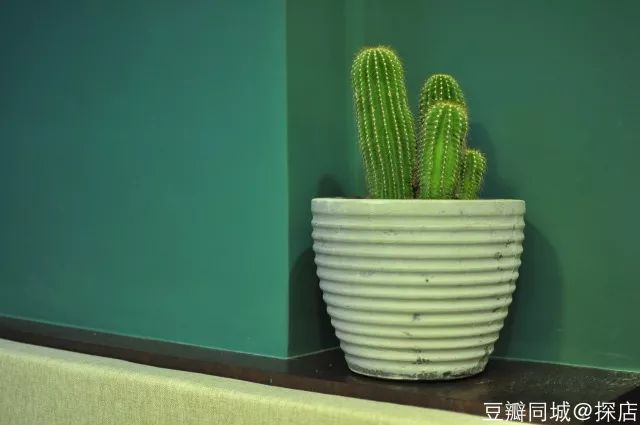 深圳本周有什么活动,最近深圳周末有什么活动吗