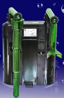 新手养草缸鱼,草缸新手入门