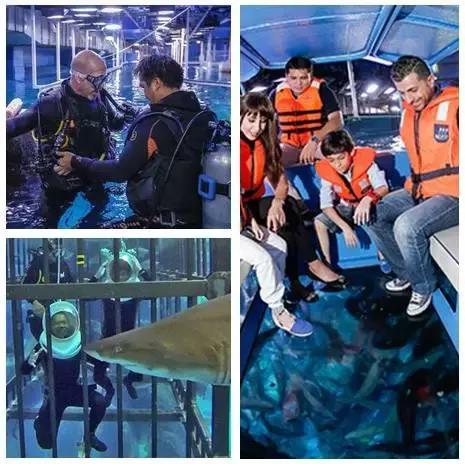 迪拜上天下海冲沙攻略,迪拜沙漠冲沙一日游