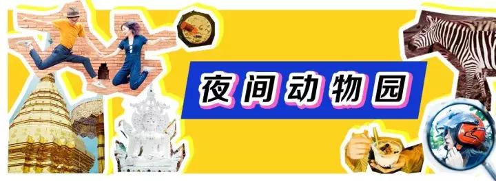 清迈旅游必买攻略,清迈旅游省钱攻略