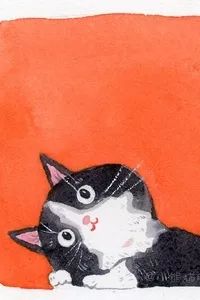 深圳本周有什么活动,最近深圳周末有什么活动吗