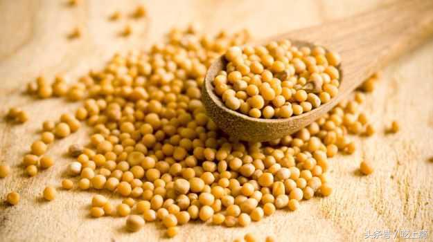 辣根山葵芥末,山葵芥末和辣根一样吗