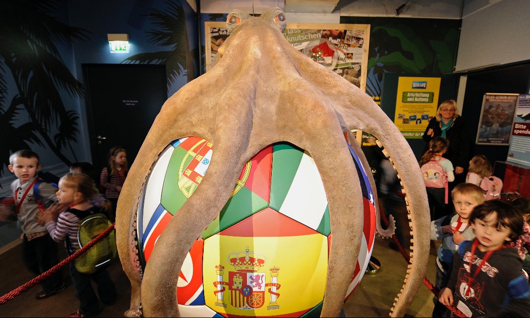 特别聪明的章鱼,非常聪明的蓝环章鱼