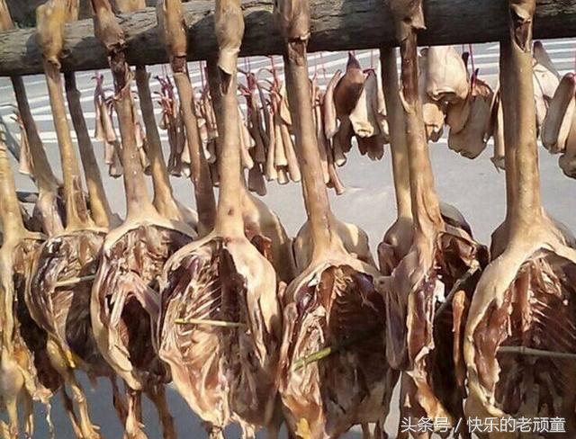 央视点评寿县咸鹅,寿县咸鹅味道怎么样