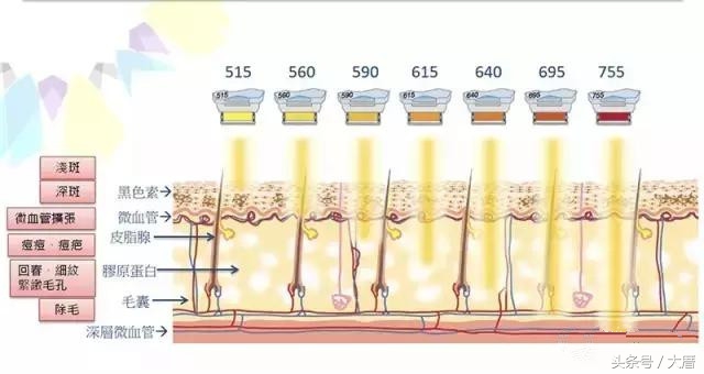 热门的美容仪真的好用吗,大几千的爆款美容仪真的值得吗