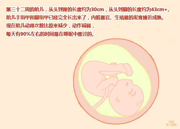 孕八个月胎动减少变弱,怀孕八个月胎动变少了怎么回事