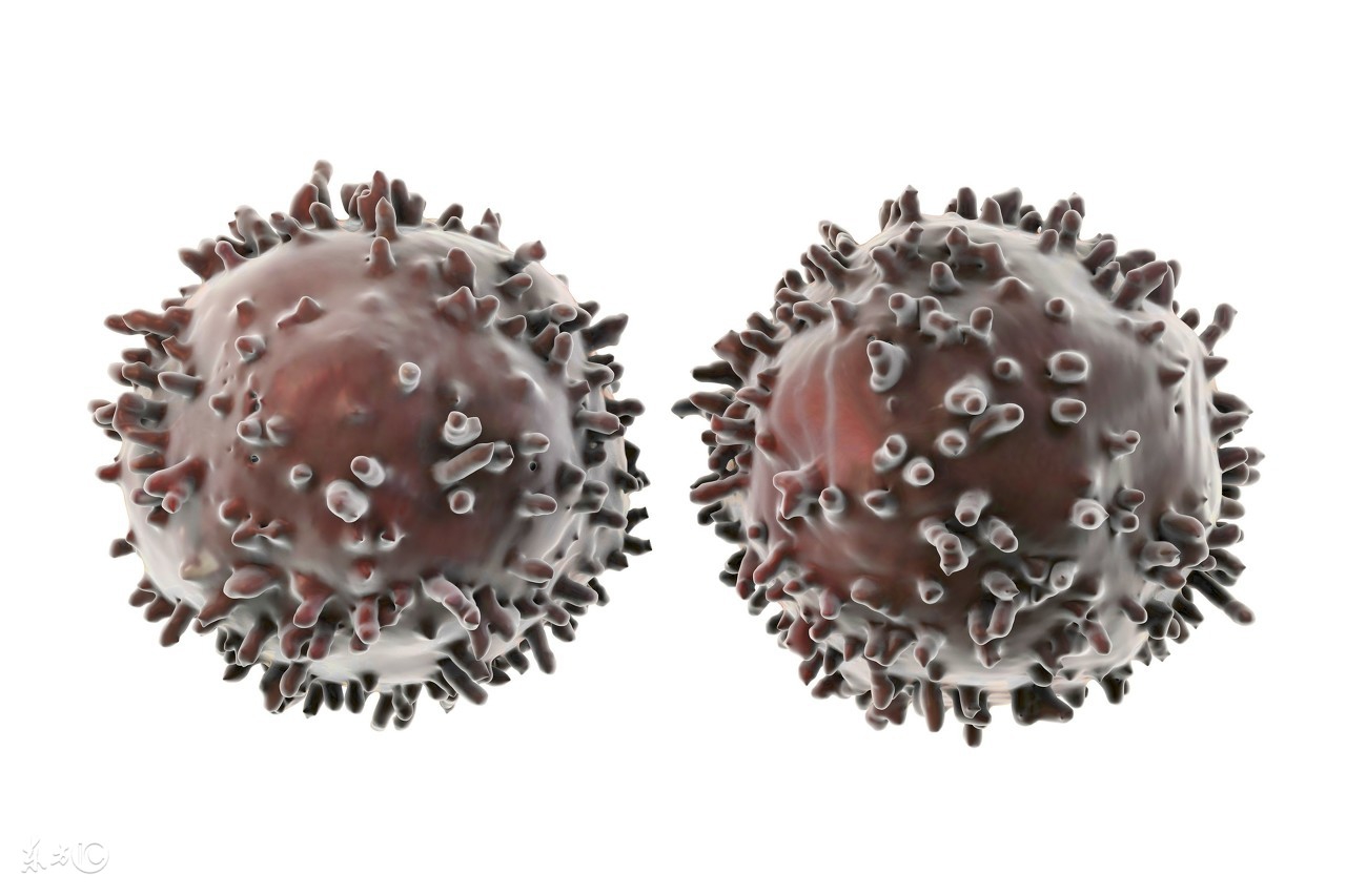 免疫调节概念股票有哪些,bnct疗法概念股票