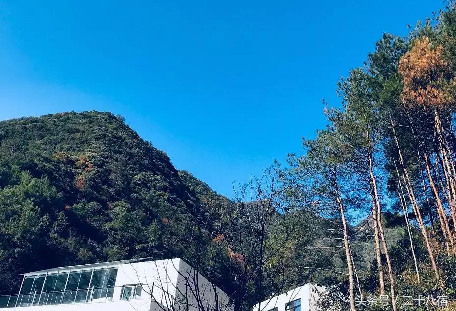 住民宿还能成为果蔬乐园,住民宿可以自己做饭提供食材吗