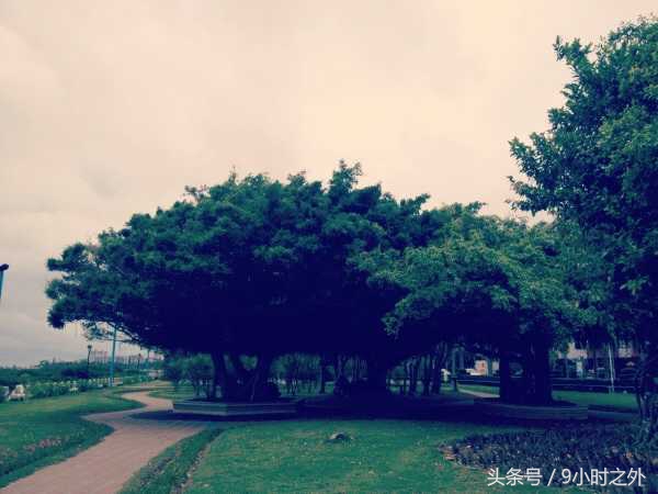 湛江空气质量全国排名,中国大陆最南端在湛江哪个镇