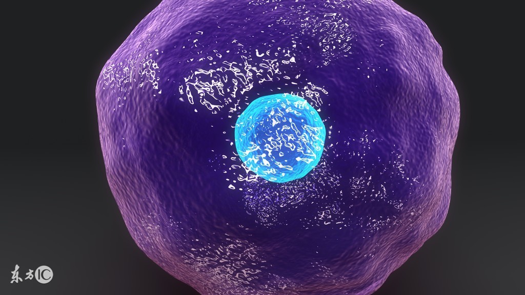 免疫调节概念股票有哪些,bnct疗法概念股票