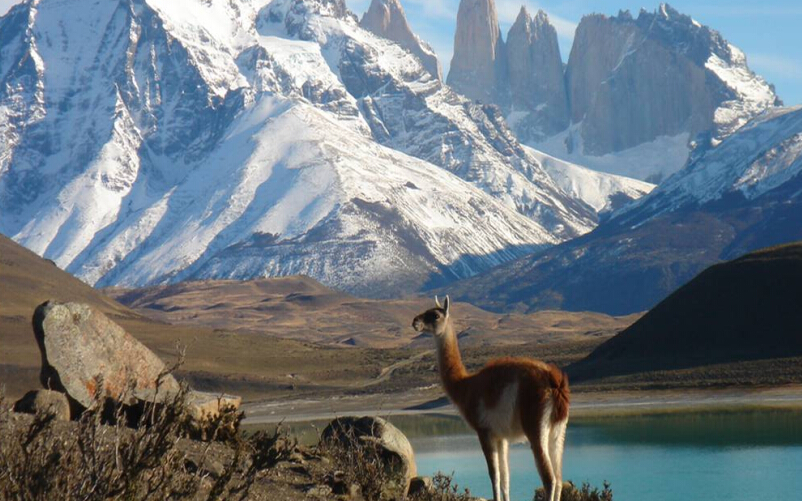 南美旅游攻略一日游最佳路线推荐,南美四国游注意事项