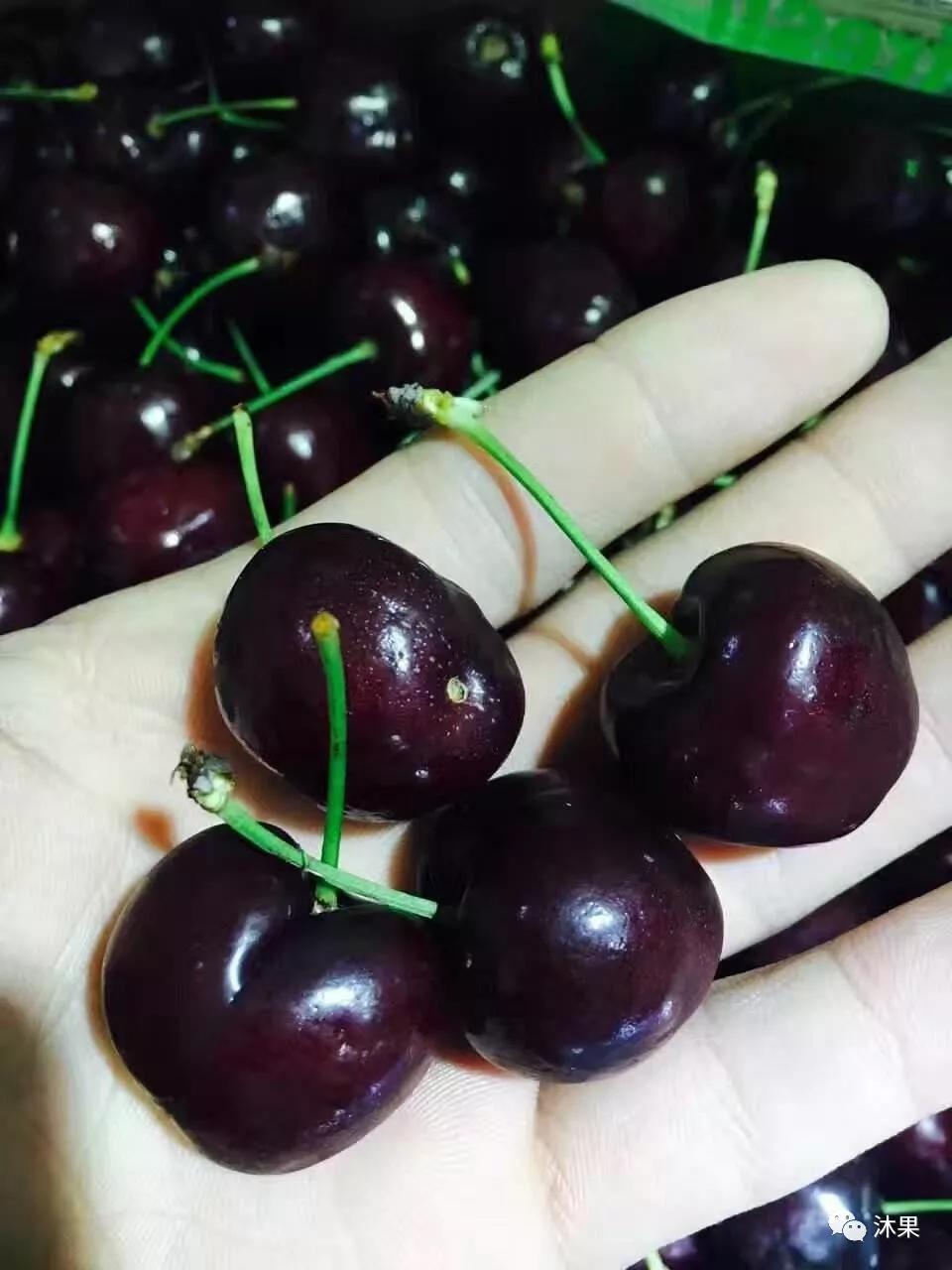 2月车厘子怎么挑选,夏季车厘子怎么选