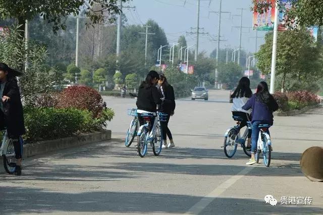 广西贵港有共享单车,贵港的共享单车怎么用
