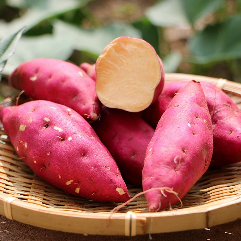 应对急性肠胃炎的方法,肠胃炎的最佳食疗方法