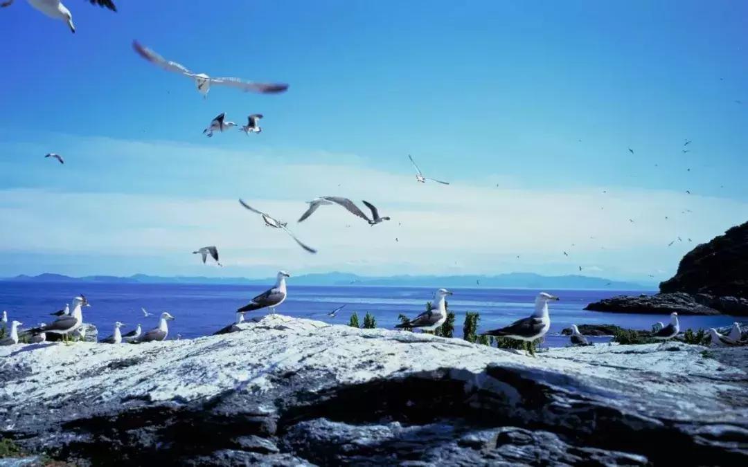 这个元旦，我要从南走到北，看看这大大的中国！