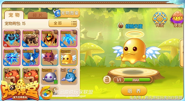 橙宠推荐朱雀玄武,入手朱雀还是白虎好