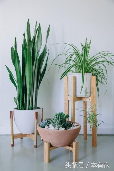 居家必备小妙招学会家里焕然一新,最省钱最实用的家居小妙招