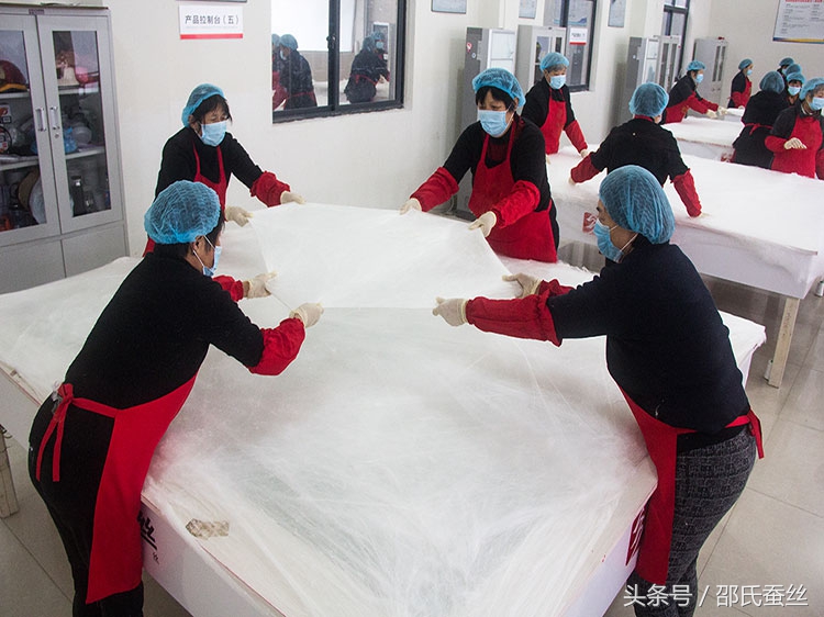 蚕丝被涤纶被面,220*240的被子蚕丝被