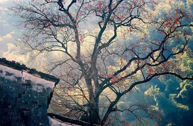 浙江适合旅居的地方,浙江宜居之地