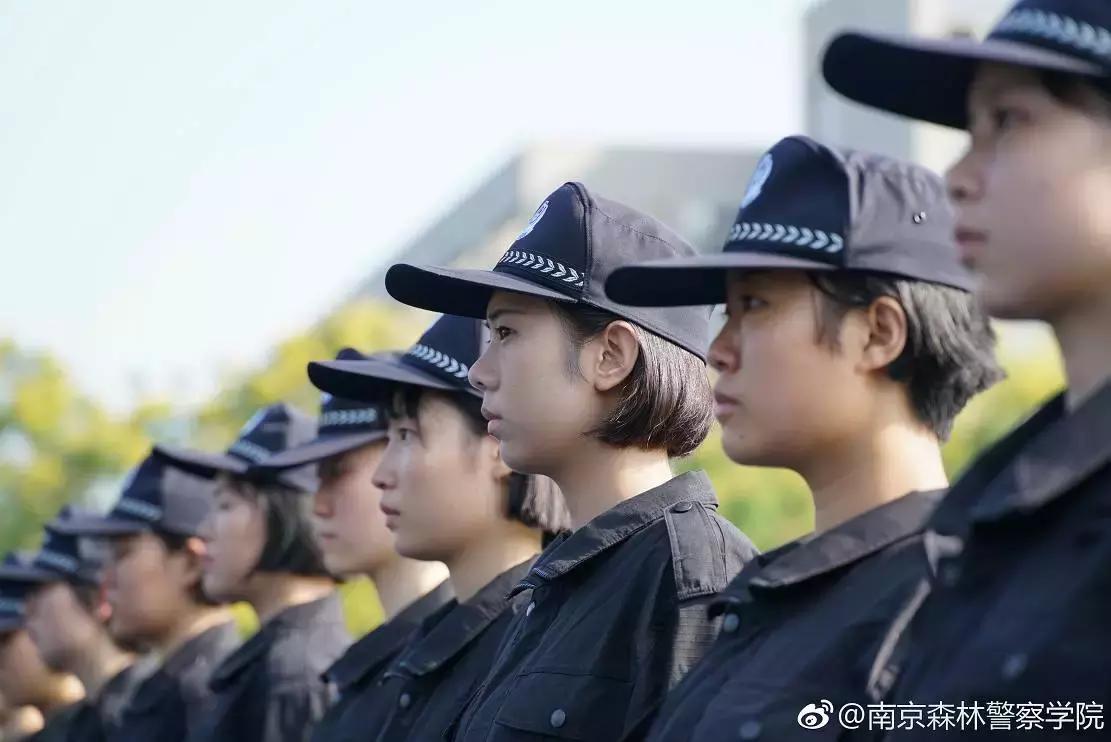 我骄傲我是南航人,我骄傲我是一棵树原文