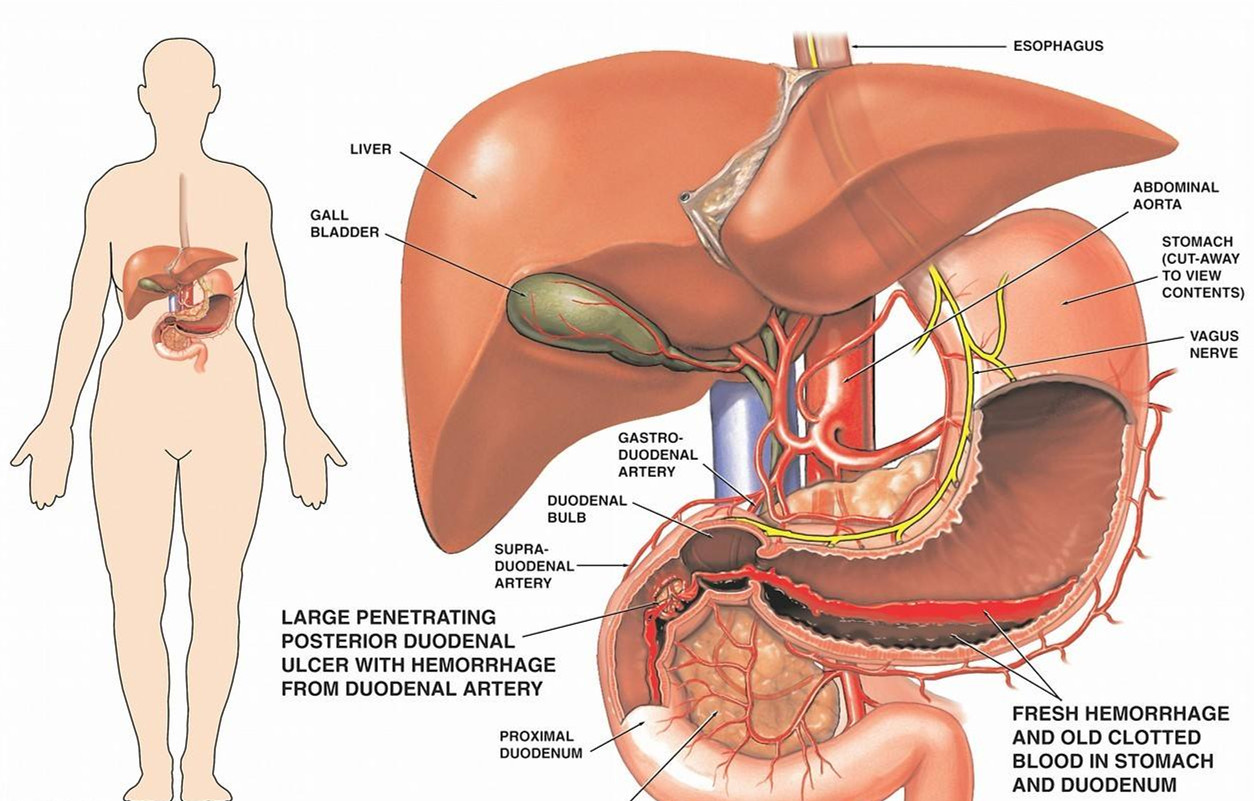 乙肝小三阳怎么防止夫妻传染,乙肝携带者结婚能传染对方吗