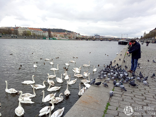 oppor9性能介绍,oppor9优点和缺点