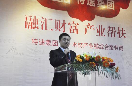 第二大仓储中心开业特速集团强势打造木材供应链平台
