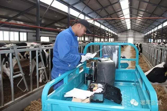 奶粉市场调查与分析,黑龙江黑河奶粉