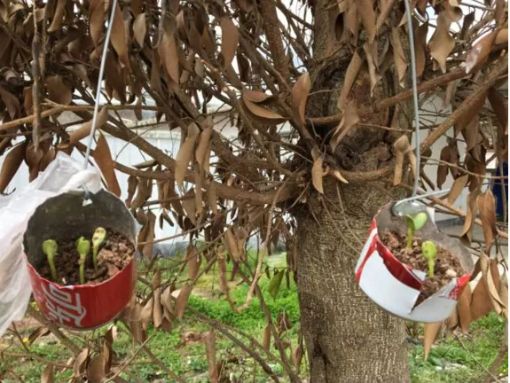 day4-5训练,day4教程全集