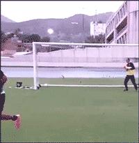 wc是厕所吗,wc为什么叫厕所