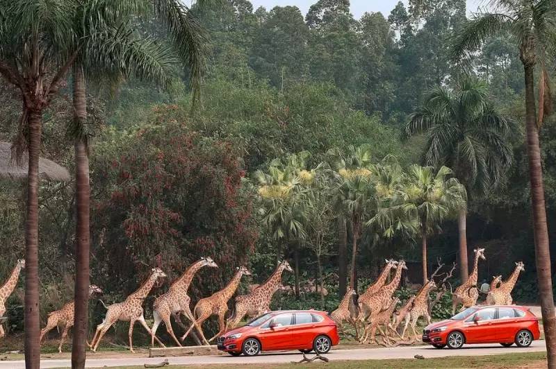 宝马疯了吗?请了5个辣妈带娃来试驾!(超级彩蛋在结尾)