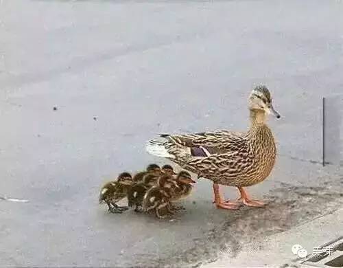 日本十大必买小众品牌,平价日韩品牌推荐