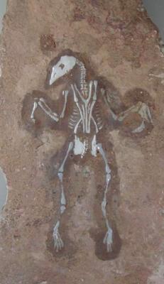 真正的奇石一般在哪里,真正的奇石是怎么样的