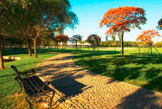 天津郊游野餐的地方,天津野餐