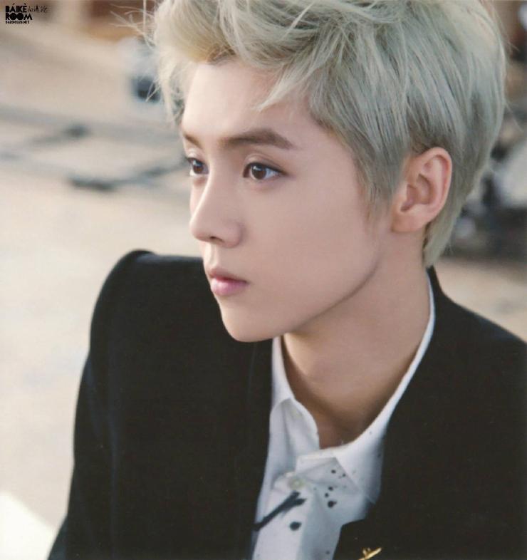 鹿晗爆红之路可以复制吗,鹿晗十大新闻