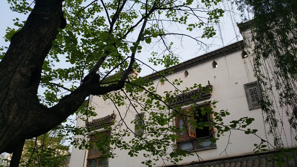 明明可以靠颜值偏偏你要拼实力,明明能靠脸偏偏拼才华